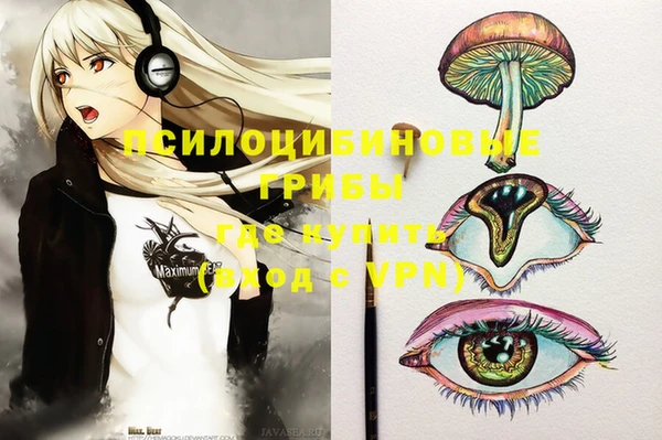 спайс Дмитров