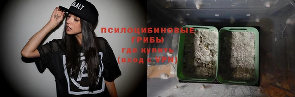 мдпв Новодвинск