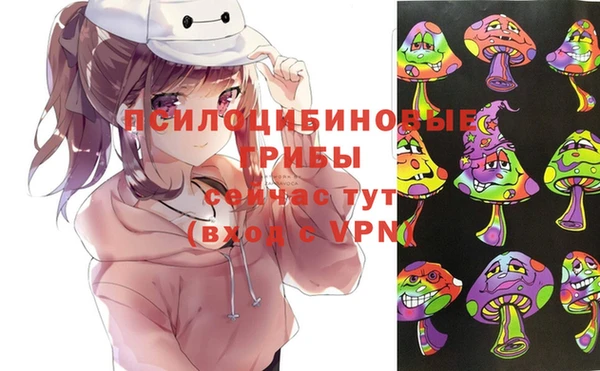 2c-b Новозыбков