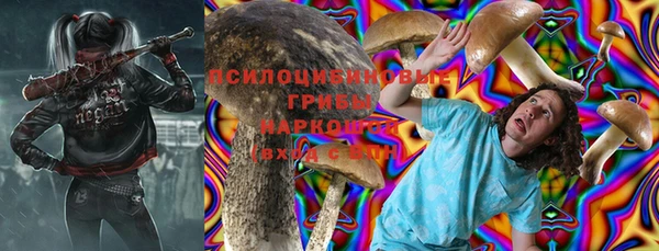 спайс Дмитров