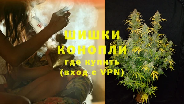мет Дмитриев