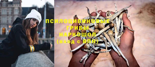 мет Дмитриев
