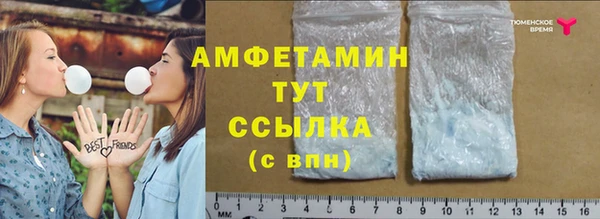 мет Дмитриев