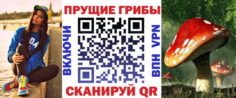 дарнет шоп Реж hydra сайт Псилоцибиновые грибы мицелий