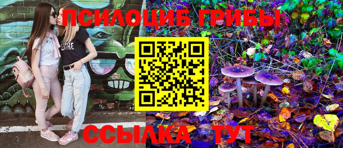 Псилоцибиновые грибы мухоморы Реж