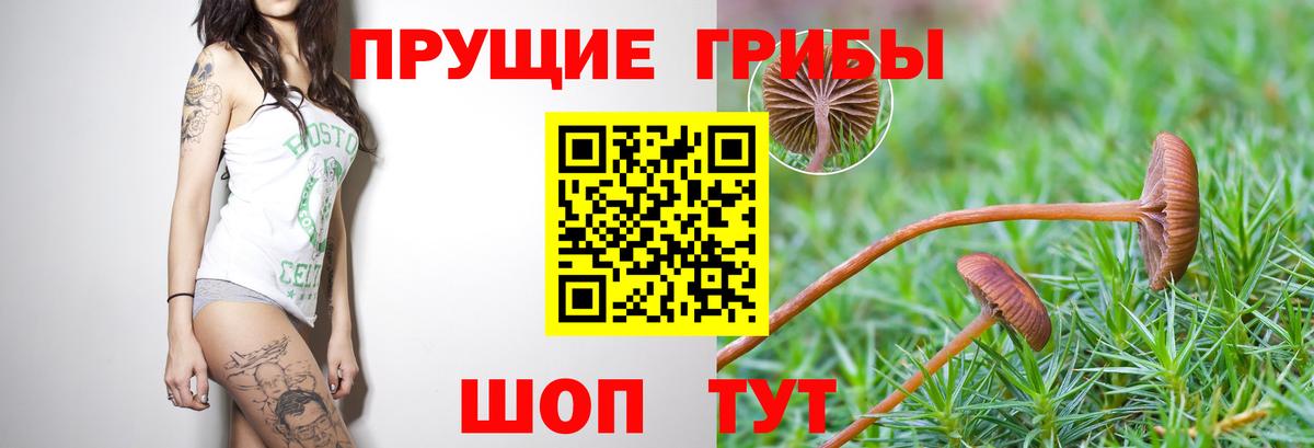 Реж  Псилоцибиновые грибы мухоморы  Псилоцибиновые грибы мухоморы  Вход с VPN 