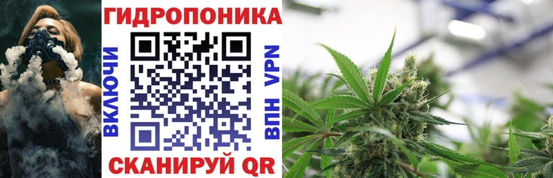 mega маркетплейс  Реж  Марихуана Amnesia 