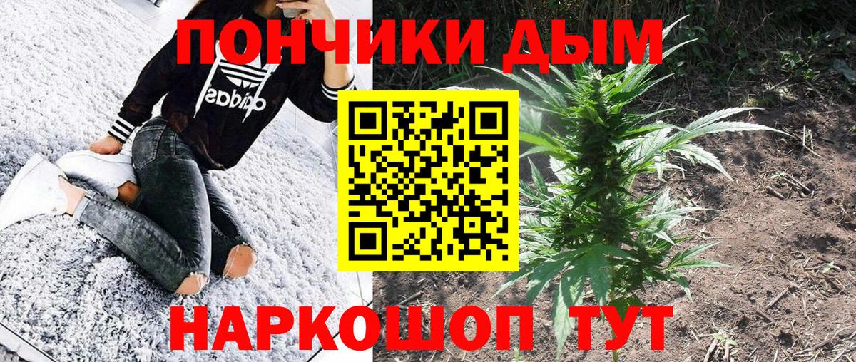 Шишки марихуана Amnesia  Вход с VPN  Конопля ГИДРОПОН  Бошки Шишки конопля  Реж 